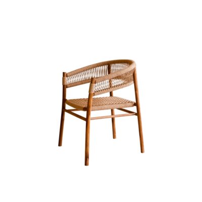 right side view gary rattan dining chair