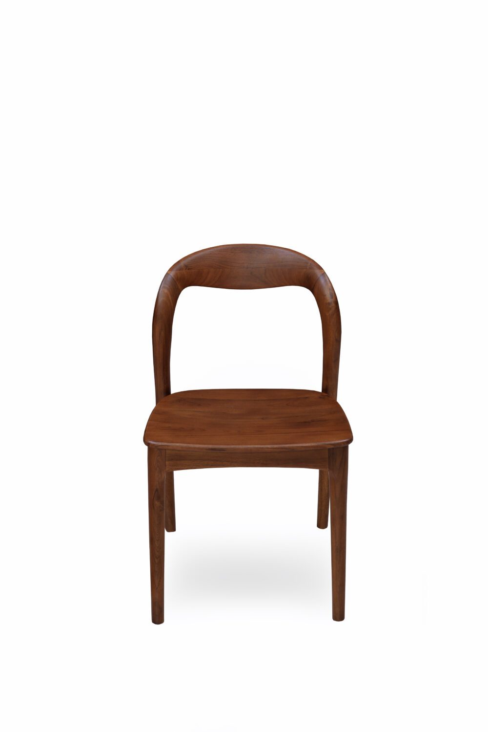 rounded suny dining chair